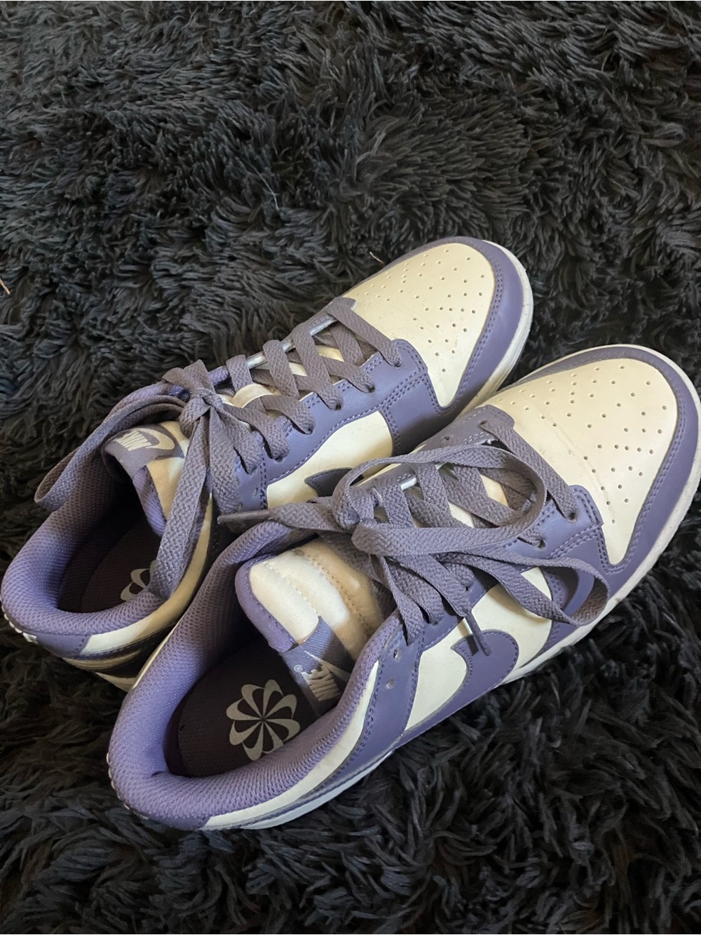 Women’s Nike Dunks